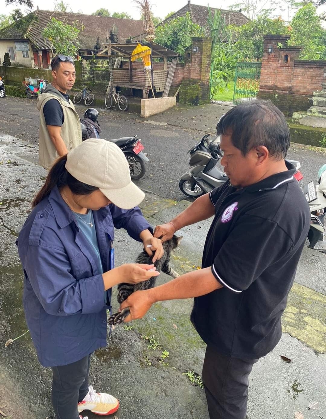 vaksinasi rabies di Kabupaten tabanan Belum dijadwalkan karena Distan tabanan masih fokus ke vaksinasi PMK.