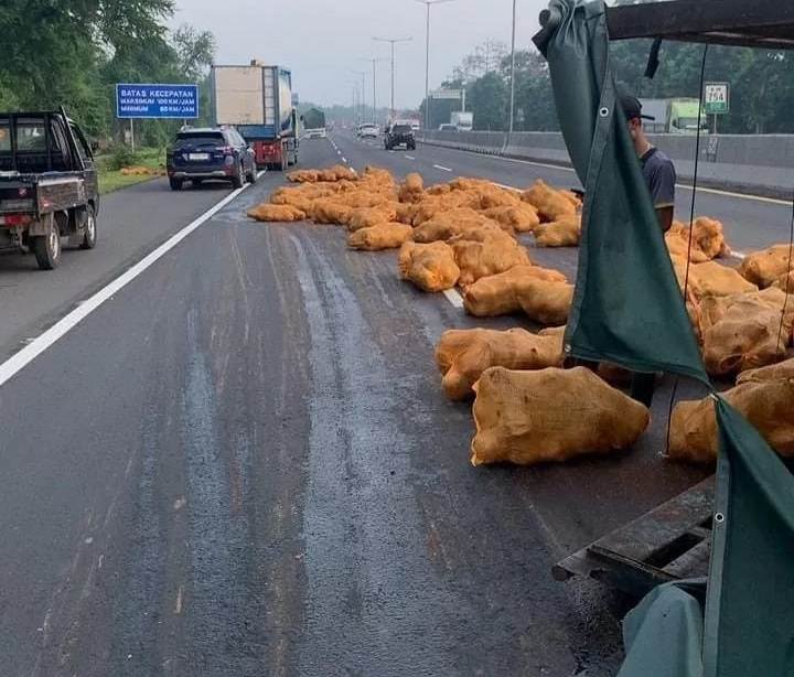 APES : Kepala yang dimuat jatuh ke jalan usai truk yang terguling di tol Sidoarjo arah Waru, Jumat (14/3) pagi. (IST/RADAR SIDOARJO)