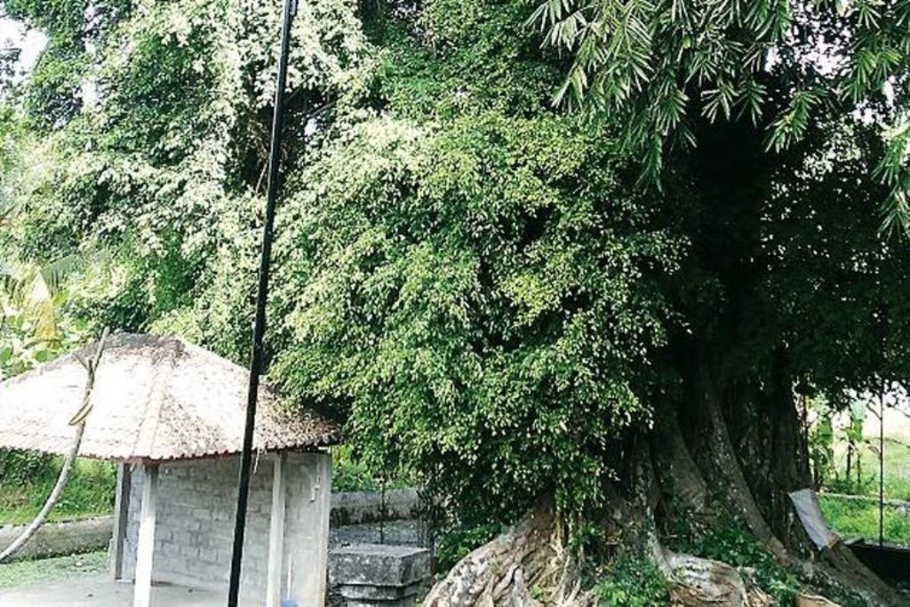 Di balik ketenangan Desa Adat Gulingan, Kecamatan Mengwi, Kabupaten Badung, tersimpan sebuah tempat suci Hindu Bali yang memiliki daya tarik spiritual luar biasa.