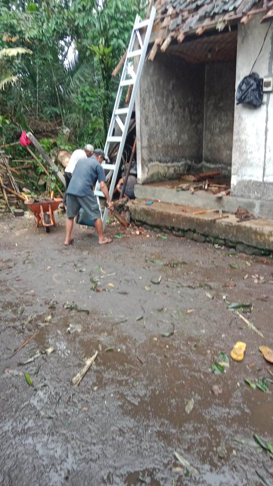 POHON TUMBANG: Pohon tumbang yang terjadi di Banjar Dinas Tukad Sabuh, Desa Duda Utara, Selat membuat seorang lansia bernama Ni Nyoman Rampyak harus dilarikan ke rumah sakit.