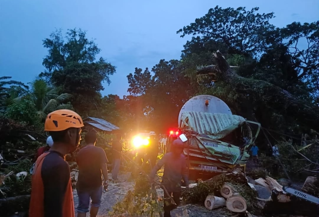 Jumat Dini hari tabanan dilanda pohon tumbang, salah satunya menimpa truk.