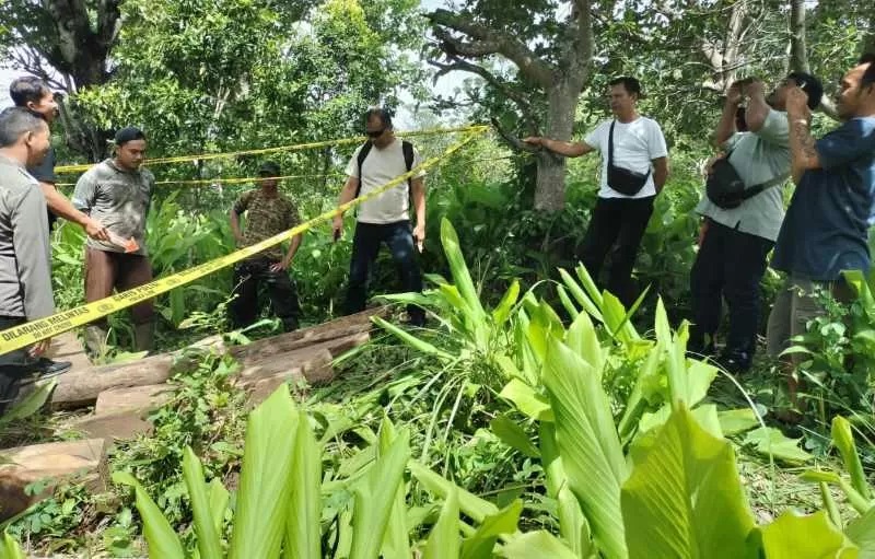BARANG BUKTI KAYU: Polisi memeriksa lokasi pembalakan liar di Desa Lokapaksa. Kini terduga pelaku sudah ditetapkan sebagai tersangka. (istimewa)