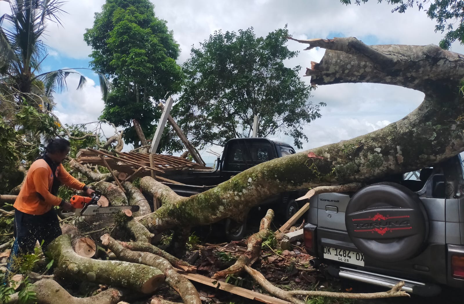 Dua unit mobil di parkir Pura Hyang Ukir, Bangli tertimpa pohon tumbang, Rabu (19/3/2025).