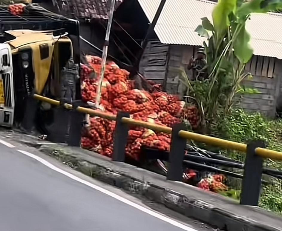 TERGULING: Sebuah truk pengangkut bawang bombai terguling di Jalan Raya Denpasar &ndash; Gilimanuk, wilayah Jembrana.,