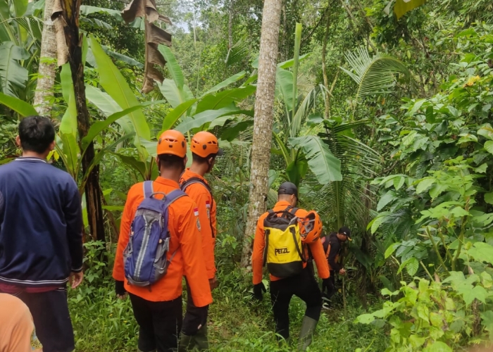 PENCARIAN : Tim gabungan melakukan pencarian terhadap lansia yang hilang di Cau Belayu, Marga, Tabanan.