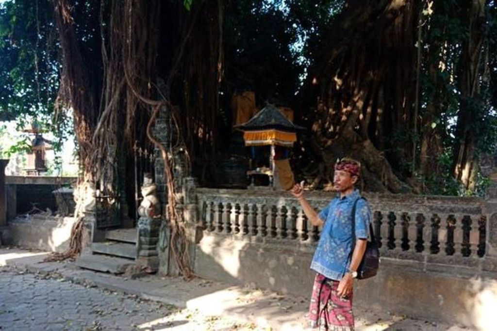 Di jantung Desa Bulian, Kecamatan Kubutambahan, Kabupaten Buleleng, Bali, berdiri megah sebuah pohon beringin yang bukan sekadar pohon biasa.