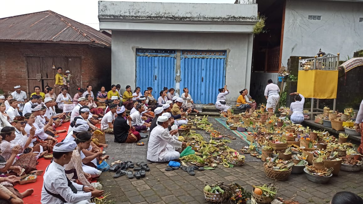 Tradisi Nyeeb di Desa Tajun, Kecamatan Kubutambahan,Buleleng yang diikuti 54 pasangan suami istri yang baru menikah