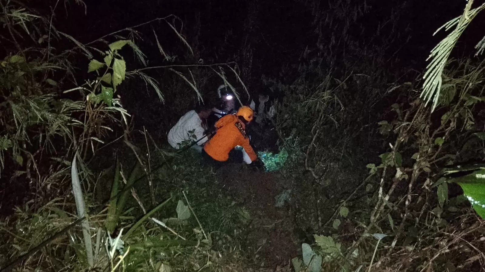 Pengendara motor terjun ke jurang sedalam 15 meter di kawasan hutan Dempes jalur Kaliwiro-Leksono, Rabu (2/4/2025).