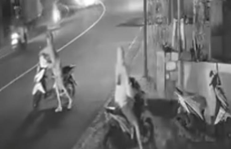 Seorang pria terekam CCTV melakukan pencurian di warung nasi di Denpasar