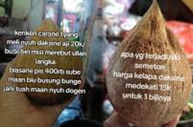 Masyarakat Bali mengeluhkan harga nyuh daksina yang meroket