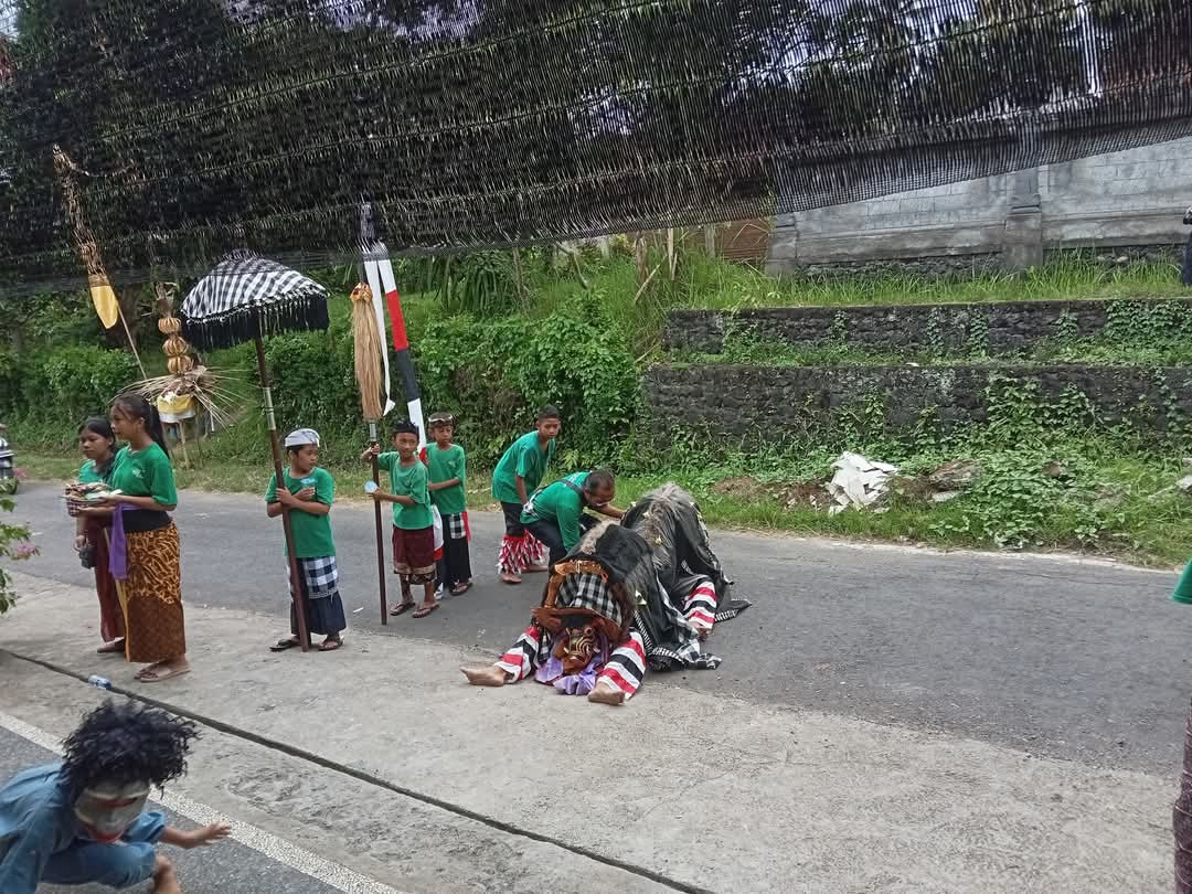 Ngelawang Barong Bangkung saat Galungan dan Kuningan sebagai upaya untuk menetralisir energi negatif