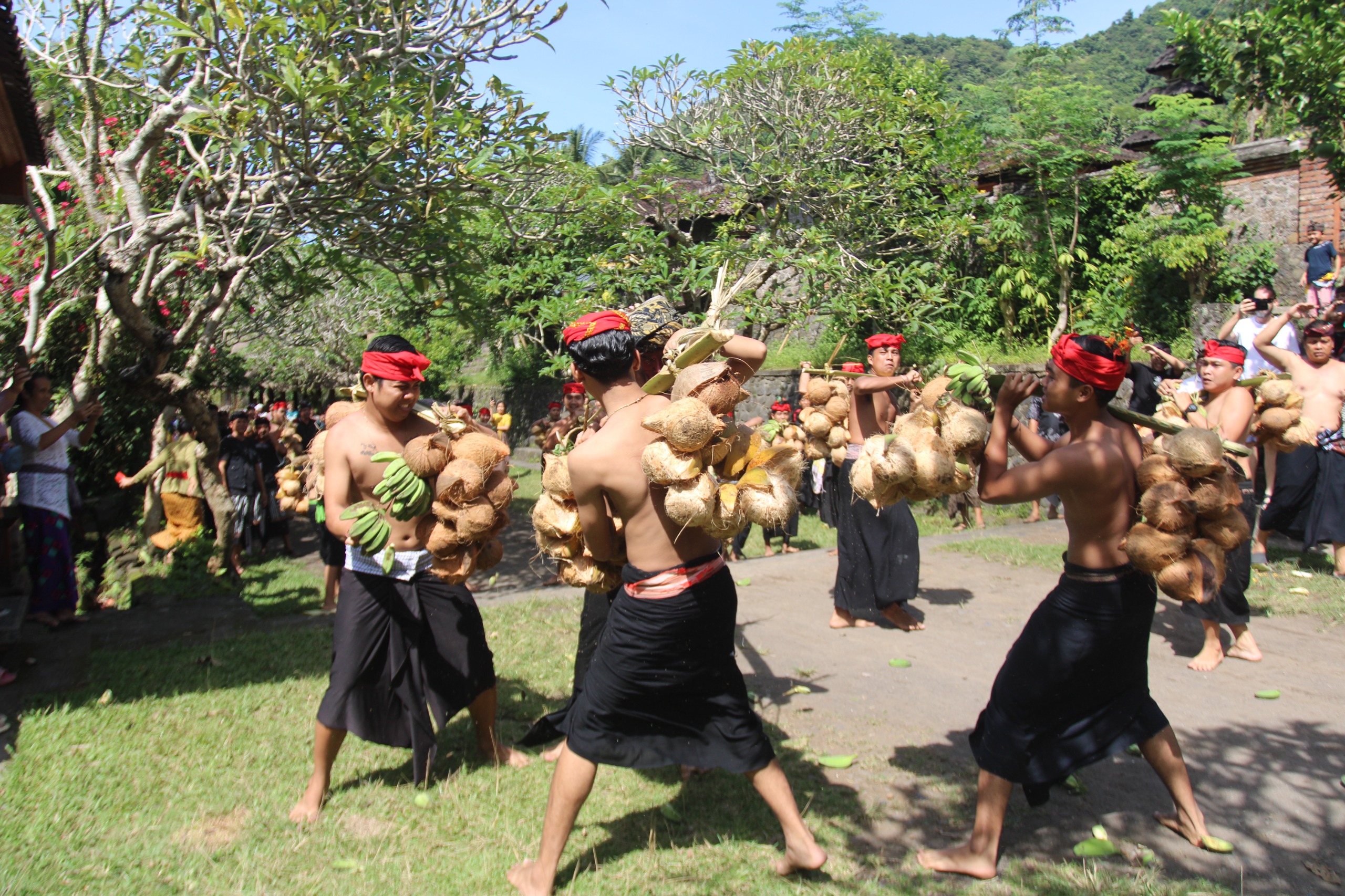 MESABATAN BIU: Pemuda di Desa Tenganan Dauh Tukad, Kecamatan Manggis, Karangasem melangsungkan tradisi mesabatan biu.