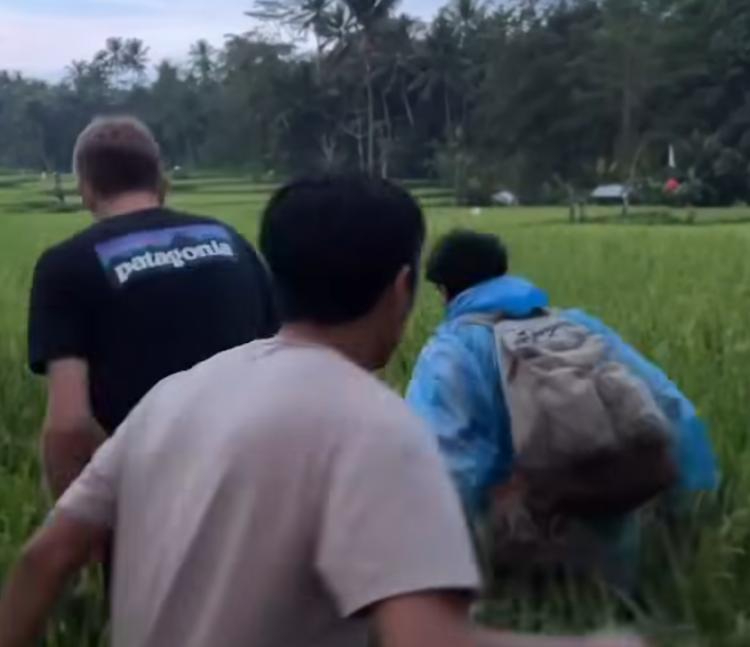 Sejumlah WNA membuat konten video dengan merusak tanaman padi milik petani Bali
