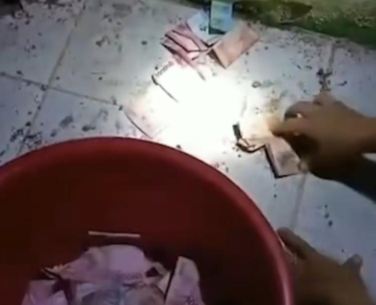Viral di media sosial, uang seorang warga yang hilang ternyata di curi tikus