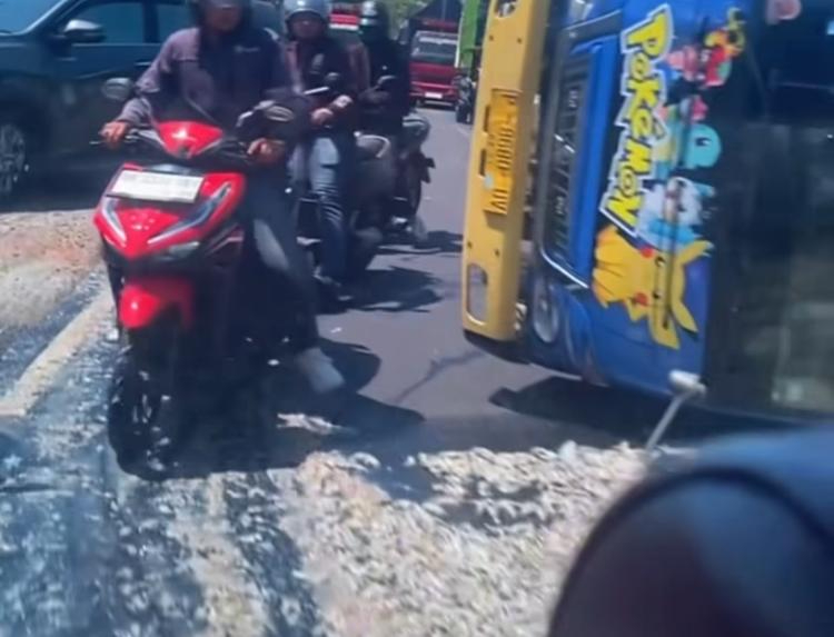 Sebuah truk bermuatan udang terguling di Jembrana