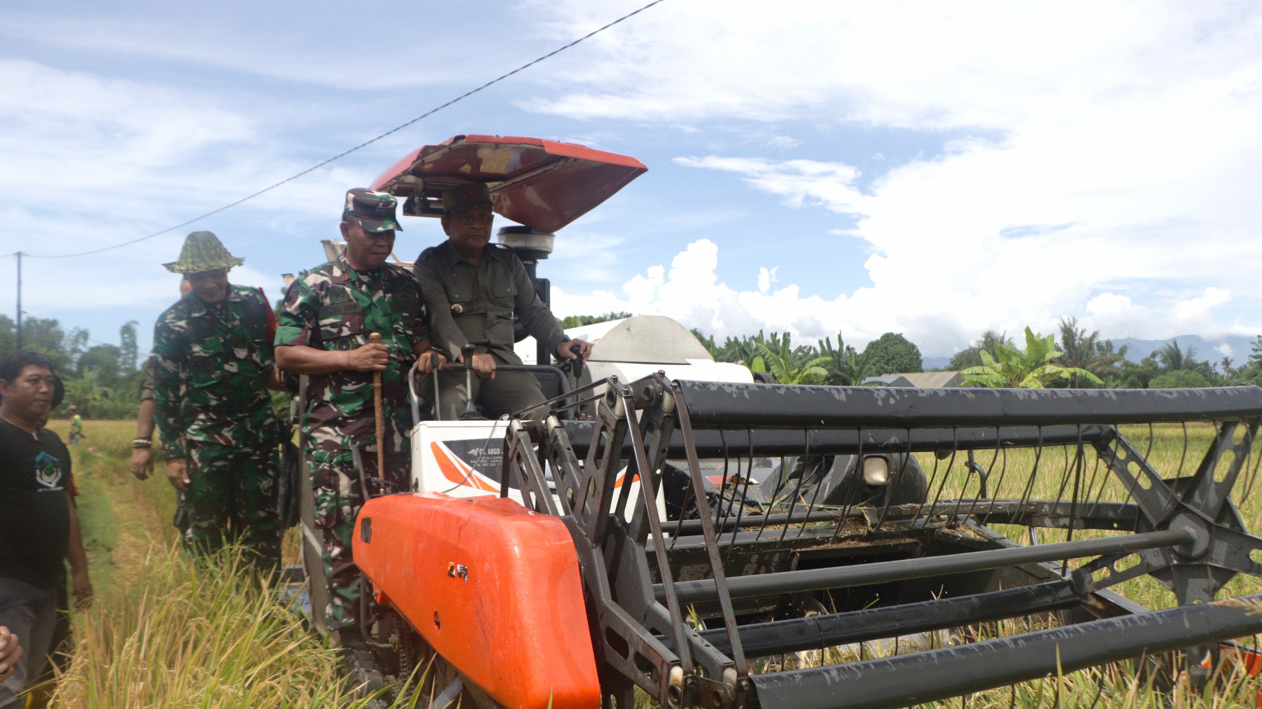 Panen padi varietas Ciherang di Subak Beji, Desa Sangsit, Buleleng.