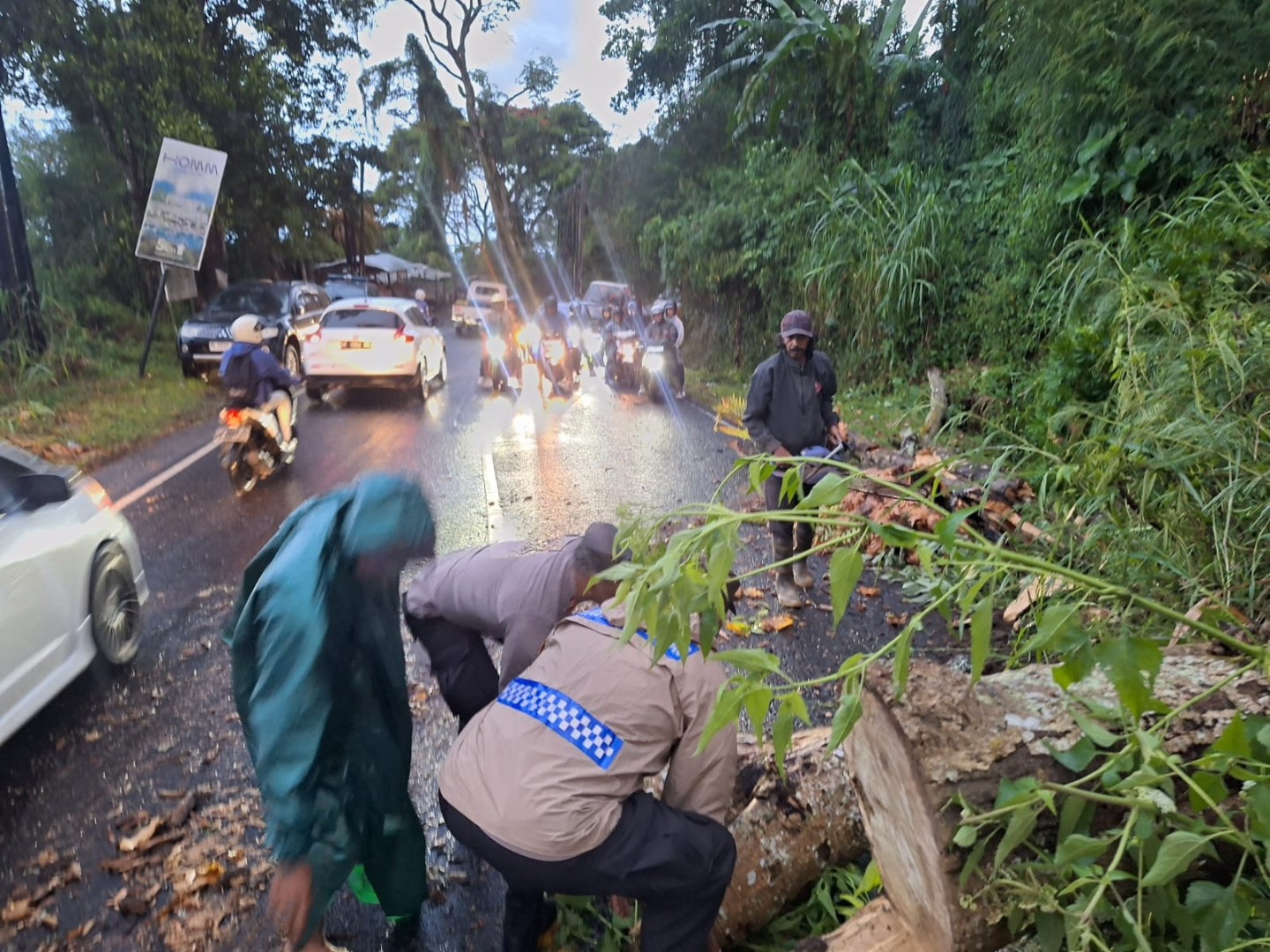 Proses evakuasi tanah longsor dan pohon tumbang di jalan jurusan Denpasar-Singaraja, tepatnya di wilayah Banjar Batunya Desa Batunya Kecamatan Baturiti Kabupaten Tabanan.