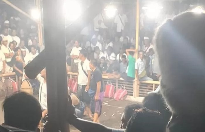 JUDI: Aktivitas judi sabung ayam atau tajen makin merajalela di Abianbase Gianyar, Bali. Diduga, gunakan lahan milik pemprov Bali.