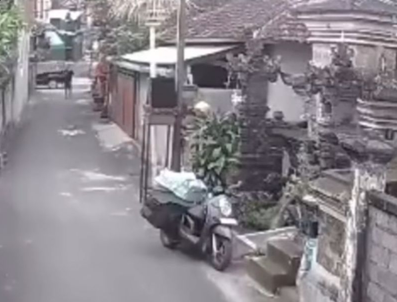 Detik-detik upaya pencurian sepeda motor kurir di siang bolong di Ubud