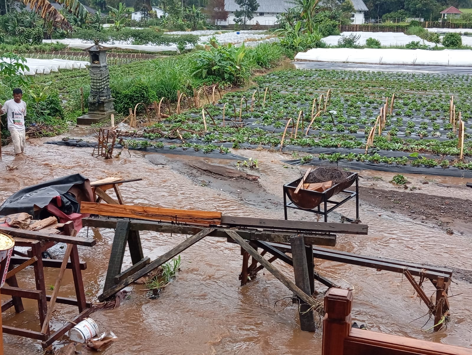 Satpol PP Buleleng melakukan peninjauan atas keluhan warga di Desa Pancasari yang terdampak banjir.