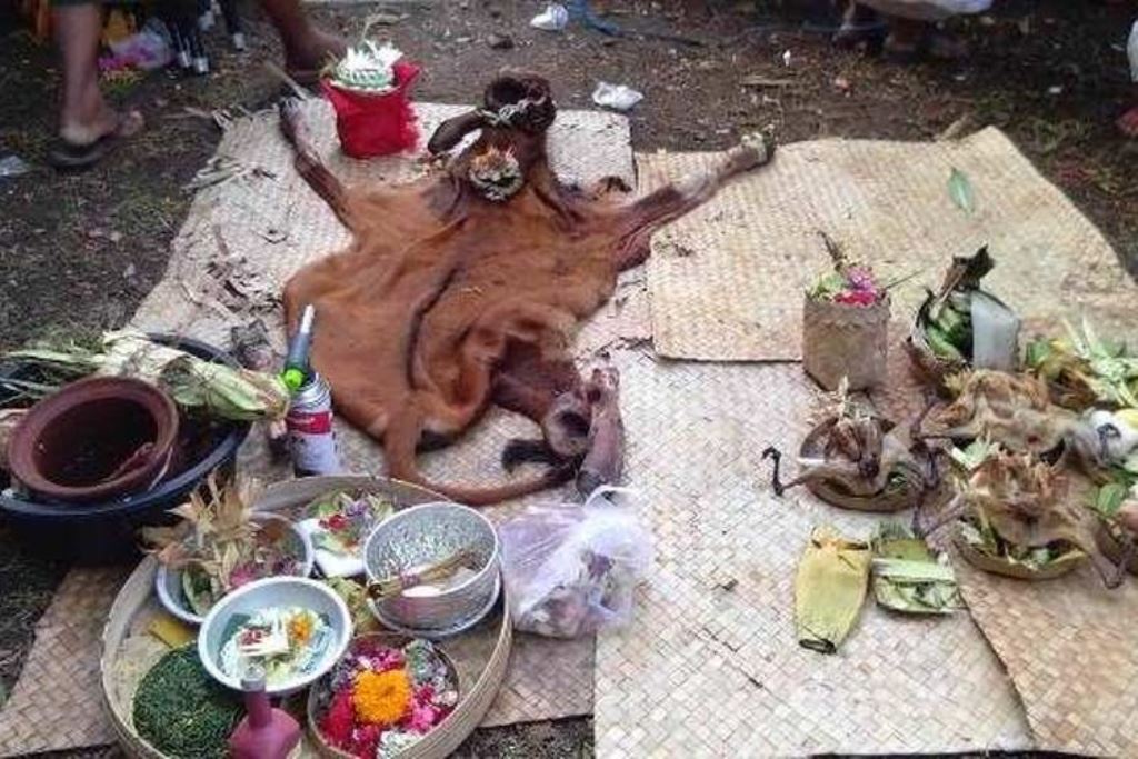 Pecaruan di Pura Dalem Kangin, Desa Kutuh, Kintamani, Kabupaten Bangli.