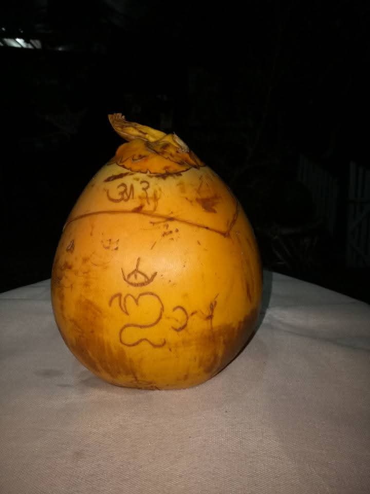 Nyuh (Bungkak) Gading sering digunakan dalam berbagai ritual