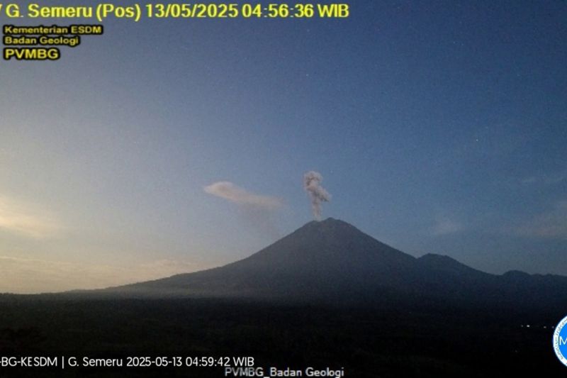 Gunung Semeru erupsi dengan letusan setinggi 1.000 meter di atas puncak Mahameru pada Selasa (13/5/2025) pagi.