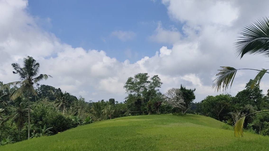 DESA : Suasana areal Desa Adat Tatag, Taro, Tegallalang.