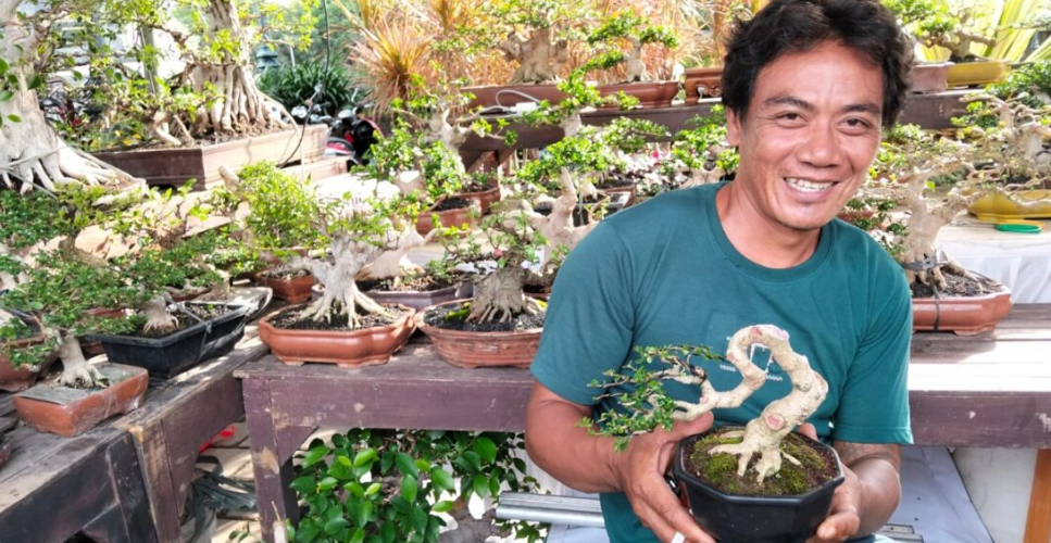 Hendrik Zumario, pegiat seni bonsai