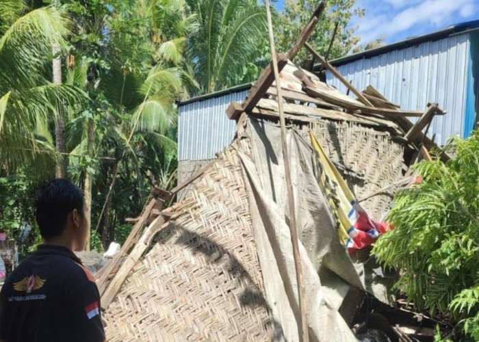 Petugas BPBD Jembrana melakukan asessment rumah roboh di Desa Melaya, Kecamatan Melaya, Jembrana, Minggu (25/5).