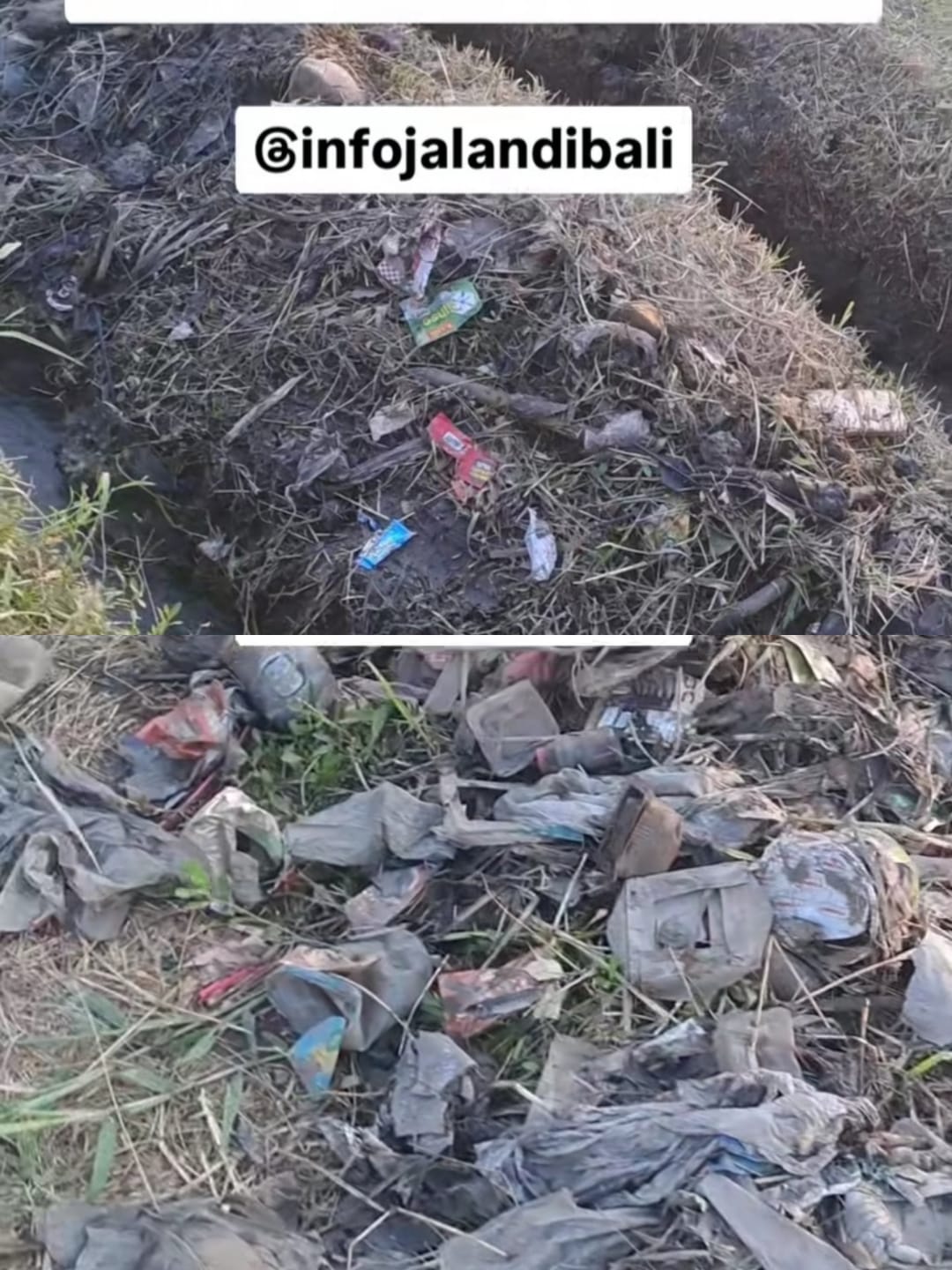 SAMPAH: Sampah plastik berserakan di areal persawahan sekitar Canggu.