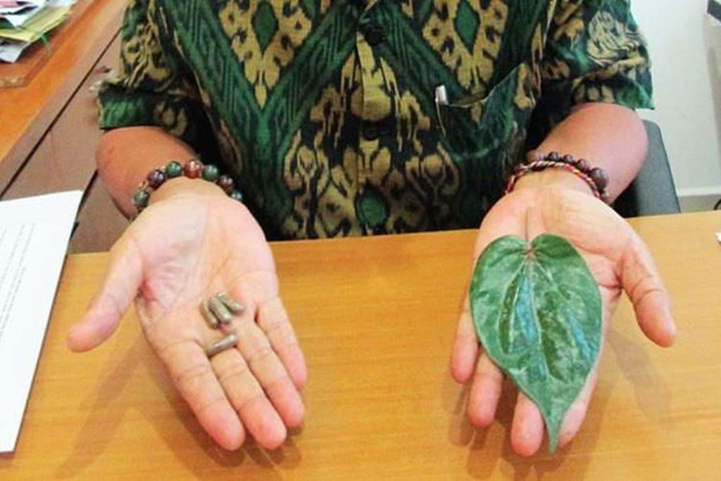 Daun sirih