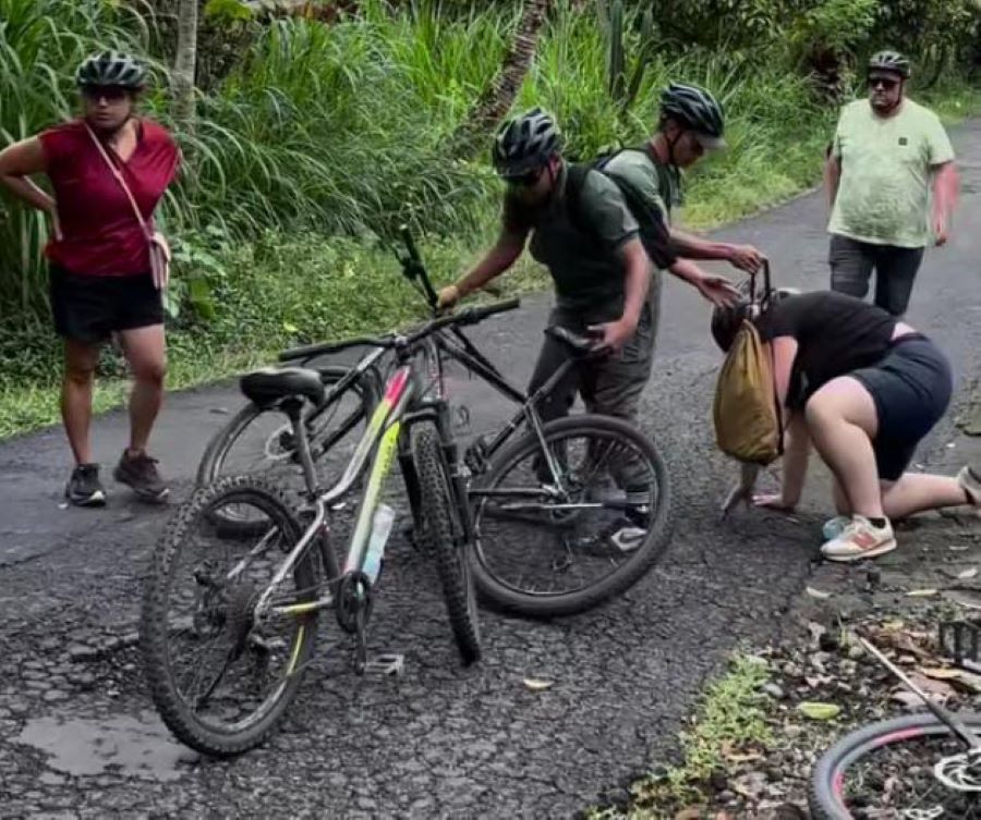 Jalan Desa Taro, Tegallalang, Kabupaten Gianyar, Bali,  membuat wisatawan asing yang bersepeda terjatuh.