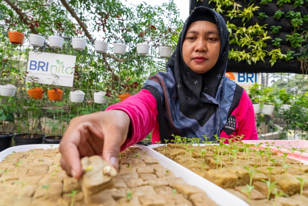 Program BRInita (BRI Bertani di Kota) dari BRI meraih penghargaan Sustainable Impact in Women-Led Urban Agriculture.