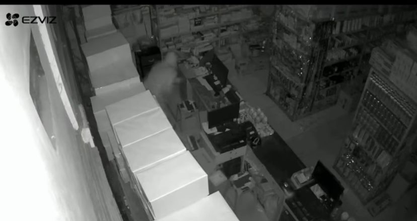 Beredar rekaman cctv Toko Grosir di Denpasar Selatan Dibobol Maling