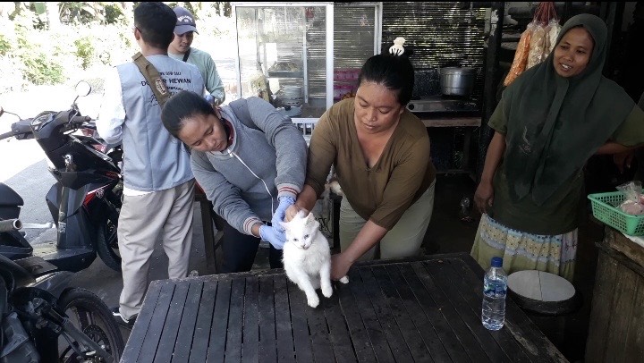 Kegiatan vaksinasi rabies darurat di Desa Sumber Sari, Kecamatan Melaya, Kabupaten Jembrana, Bali, Rabu (4/6/2025).