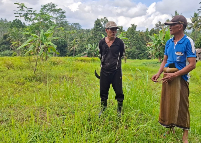 KEKERINGAN : Kelihan Subak Tohpati, Nengah Sudana (baju biru) saat ditemui di Tempek Wanasari, Senin (9/6/2025).