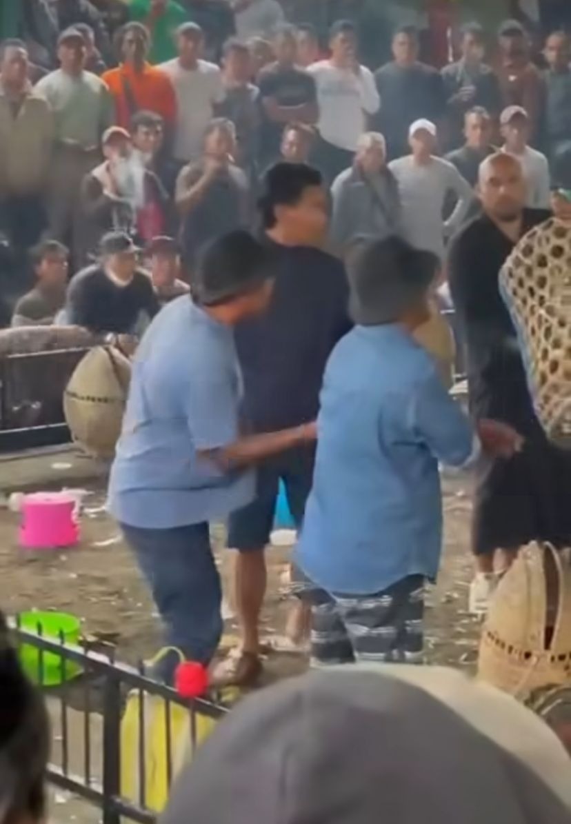 TAJEN: Kondisi perkelahian di arena sabung ayam di Kintamani viral di media sosial hingga mengundang beragam komentar warganet.
