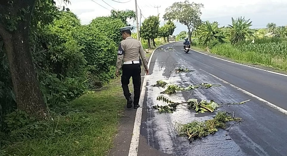 TUMPAHAN SOLAR : Polisi mengamankan kawasan Jalan Raya Tojan-Watu Klotok, Kecamatan Klungkung yang kena tumpahan solar.
