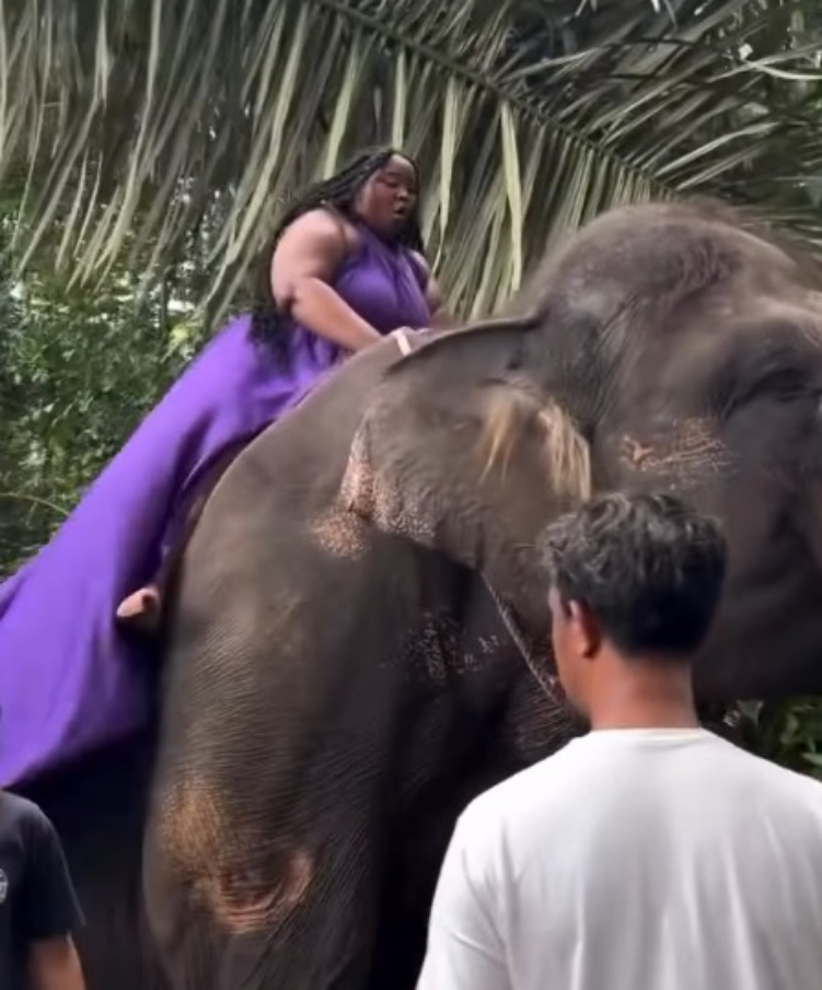 Aksi Turis Asing Tunggangi Gajah Tuai Protes Warganet