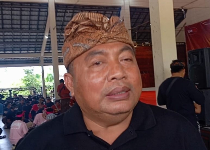 Anggota DPR RI I Nyoman Parta