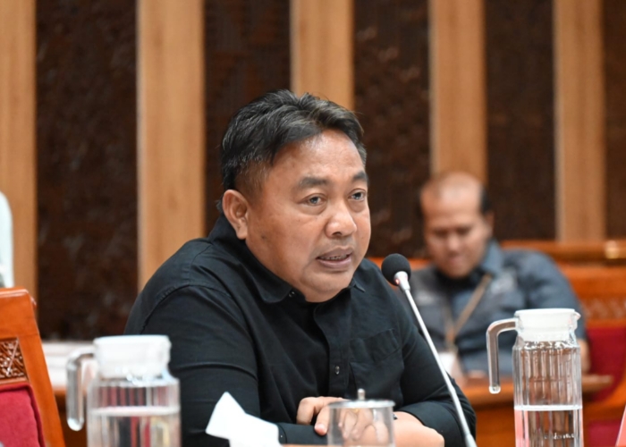 Anggota DPR RI I Nyoman Parta