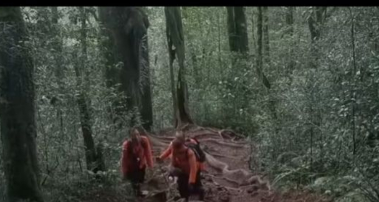 Empat orang pendaki dikabarkan tersesat di Gunung Batukaru
