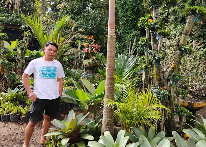 BISNIS : Kadek Oka, 35, warga Banjar Bale Agung, Desa Bumbungan, Kecamatan Banjarangkan, Klungkung, yang menggeluti bisnis tanaman hias.