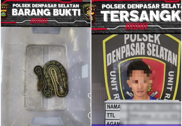 Pria berinisial S.E. (25) berhasil dibekuk oleh Tim Reskrim Polsek Denpasar Selatan
