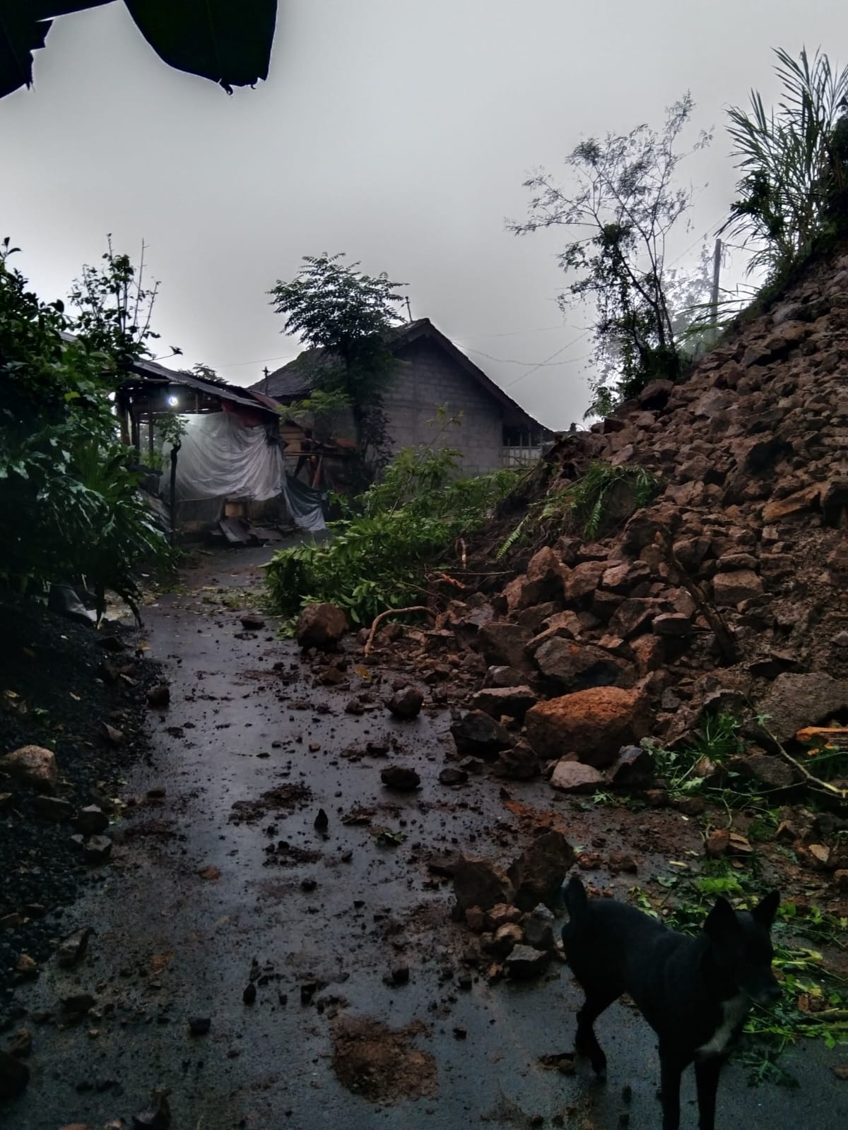 LONGSOR: Longsor besar di Banjar Dinas Batu Gede, Desa Duda Timur, Kecamatan Selat, pada Minggu (6/7), tutup akses jalan.