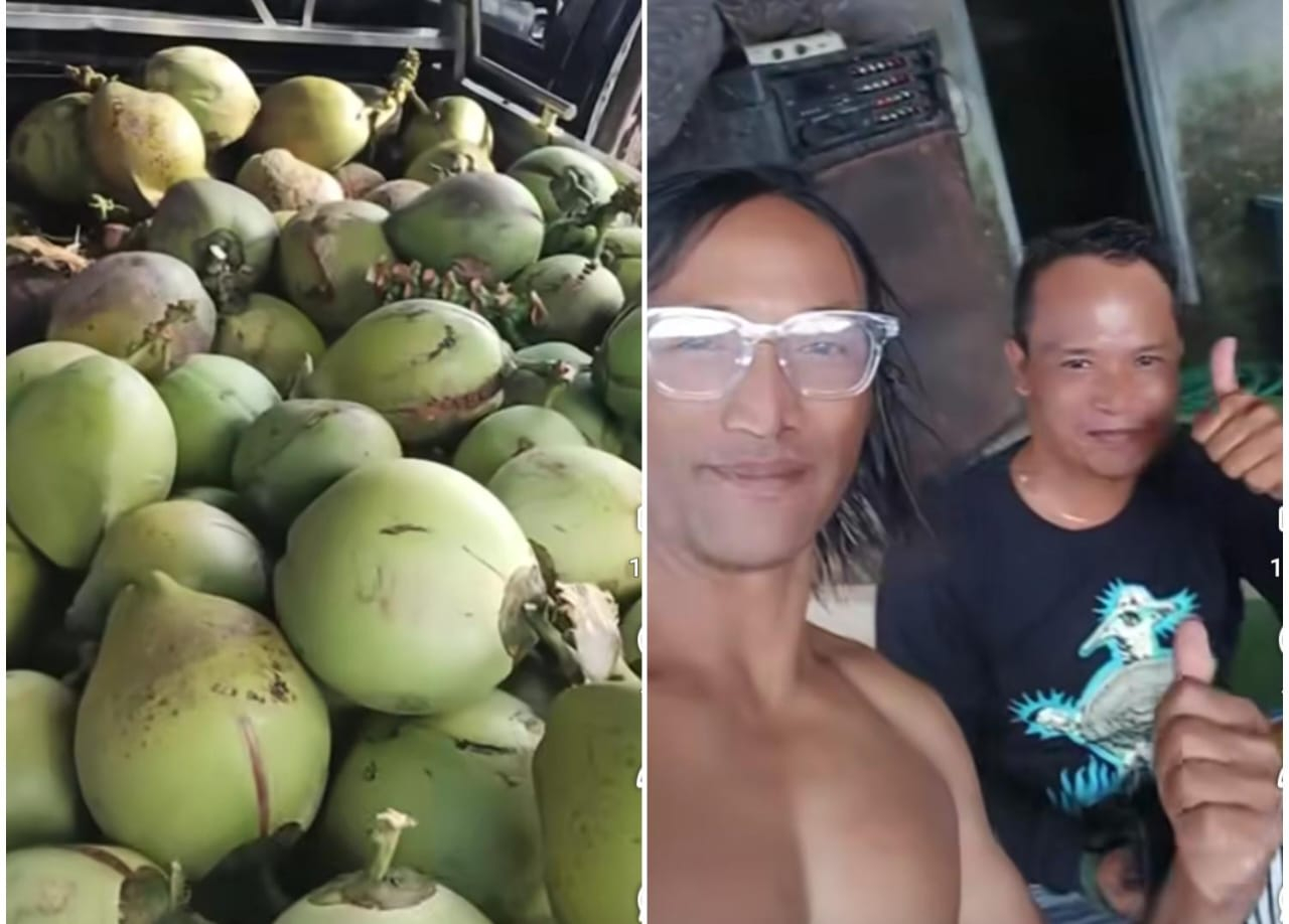 Agung Ketut Rai Viral Lagi, Usai Panen Kelapa, Kini Jual Sendiri Hasilnya