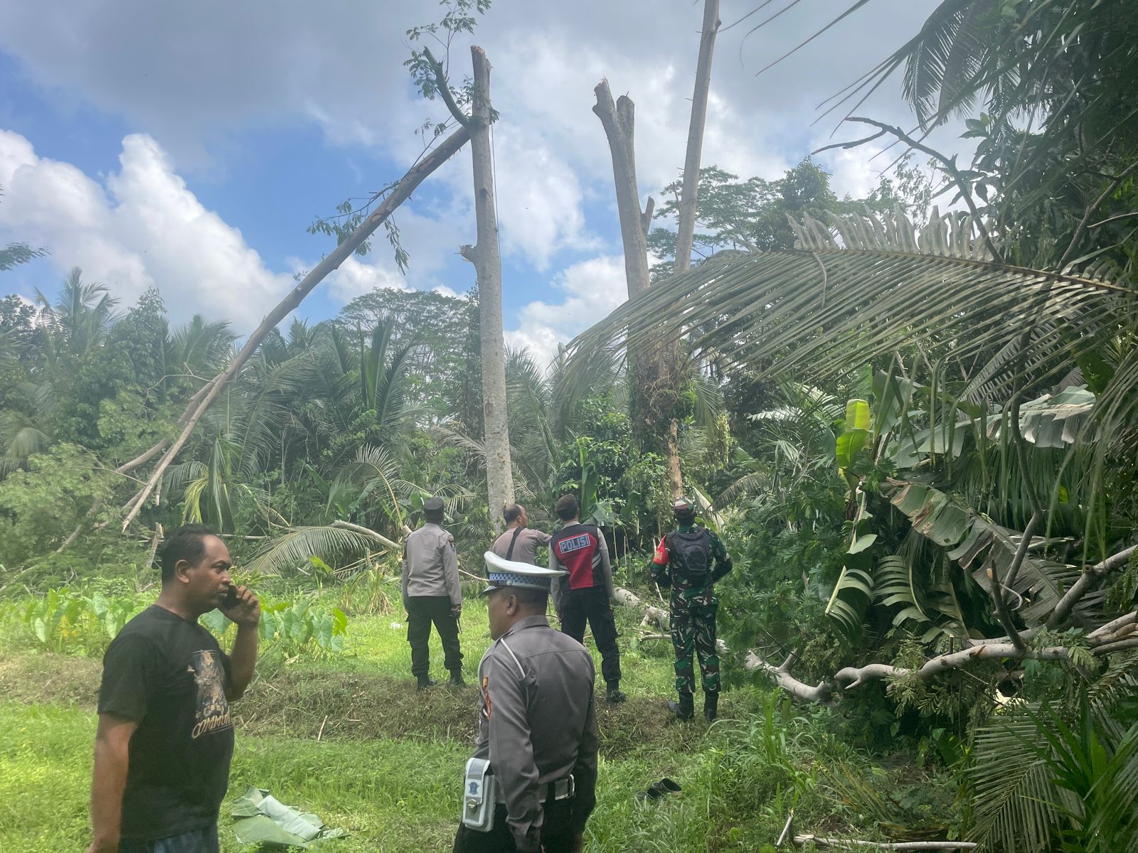 Polisi mendatangi TKP Nengah Ruta terjatuh dari pohon di Banjar Selati, Desa Bunutin, Kabupaten Bangli, Bali, Minggu (13/7/2025).