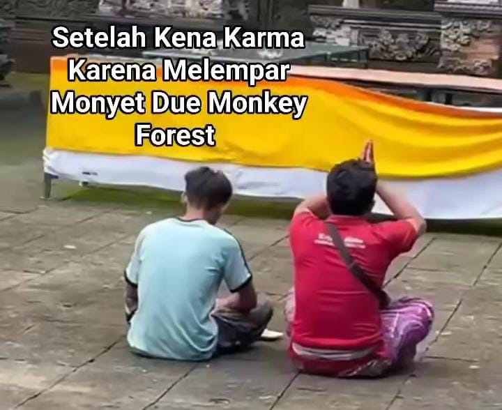 Pria Diduga Lempari Monyet di Monkey Forest Lakukan Persembahyangan Permohonan Maaf