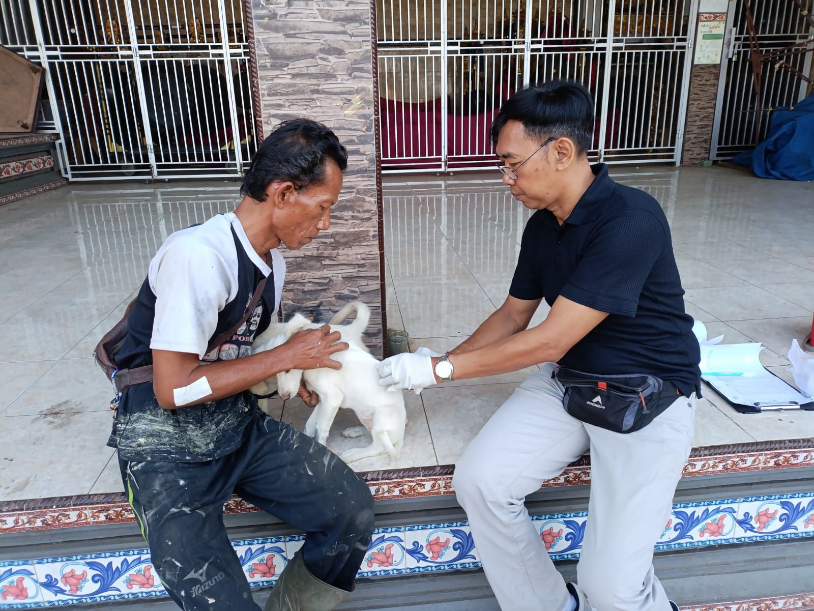 Vaksinasi rabies dilakukan oleh Dinas Pertanian Kabupaten Tabanan.